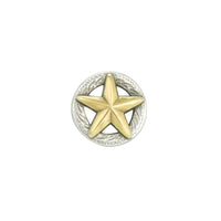 Texas 3D Star Screw Back Conchos, AS/AG