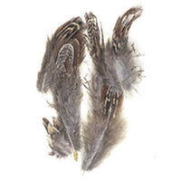 Pheasant Feathers - Natural 2"-3" 3 grams