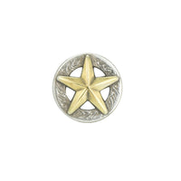 Texas 3D Star Screw Back Conchos, AS/AG