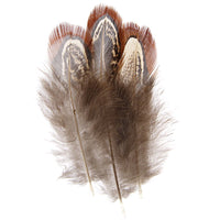 Pheasant Feathers - Natural 2"-3" 3 grams