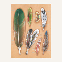 MakerAid® Feathers Easy Trace Reusable Pattern