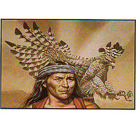 3' X 5' Flag - Indian Chief 2