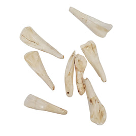 Real Cow's Teeth - Antiqued