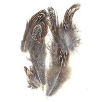 Image of 78003018H - Pheasant Feathers - Natural 2"-3" 3 grams