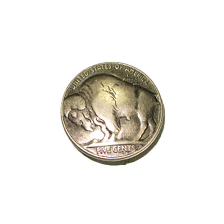 Image of 2-00445 - Buffalo Coin Splashback Concho