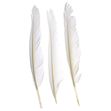 Image of 78003007-00H - Duck Quill 12 Pack 7" White