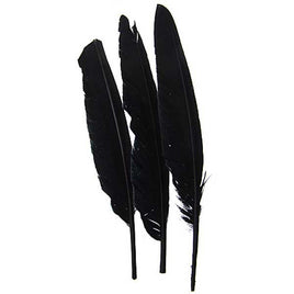 Image of 78003007-01H - Duck Quill 12 Pack 7" Black