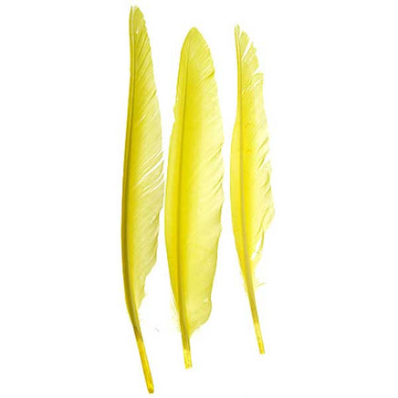 Image of 78003007-04H - Duck Quill 12 Pack 7" Yellow