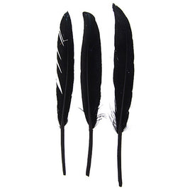 Image of 78003006-01H - 4" Duck Quill - 24 Pack - Black