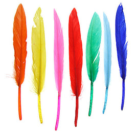 Image of 78003006-99H - 4" Duck Quill  - 24 Pack - Multi