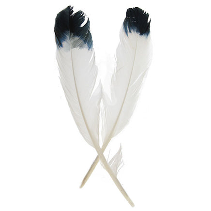 Image of 78003005-00H - Imit. Eagle Feathers 12" White/Black Tip 6 Pack