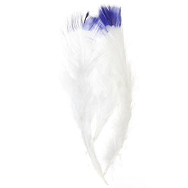 Image of 78003002-03H - Marabou Feathers 4-6" 6g White with Royal Blue Tip