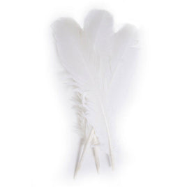 Image of 78003004-00H - Turkey Quill 12" White 6 Pack