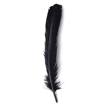 Image of 78003004-01H - Turkey Quill 12" Black 6 Pack