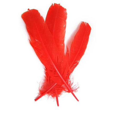 Image of 78003004-02H - Turkey Quill 12" Red 6 Pack